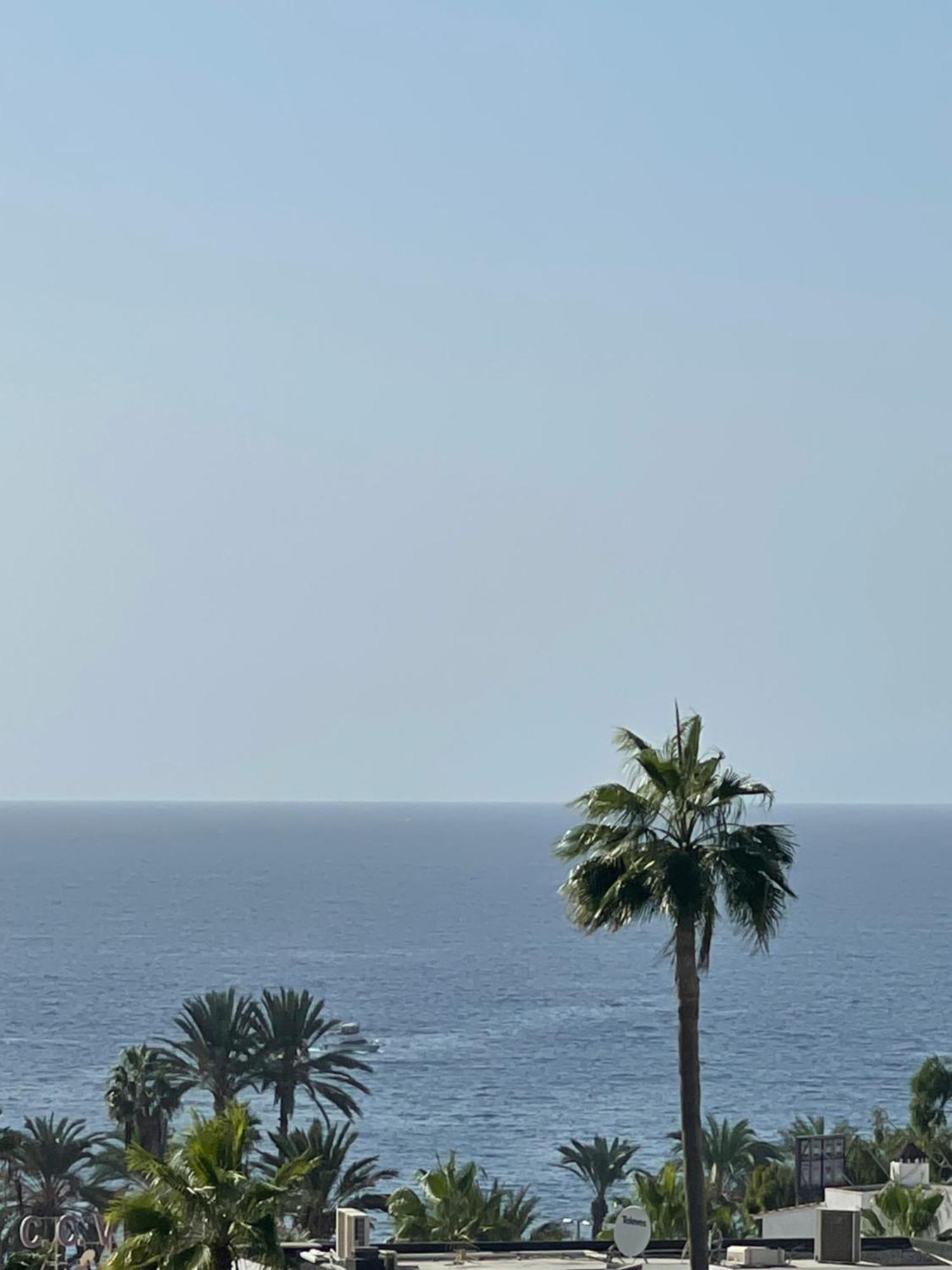 Royal View - Playa De Americas Playa de las Americas (Tenerife)